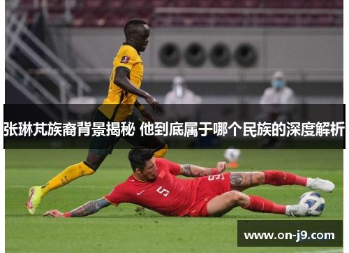 张琳芃族裔背景揭秘 他到底属于哪个民族的深度解析