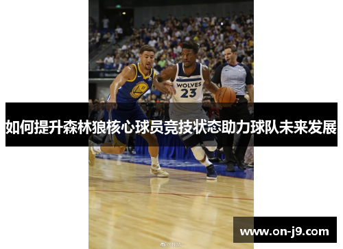 如何提升森林狼核心球员竞技状态助力球队未来发展