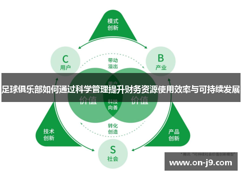足球俱乐部如何通过科学管理提升财务资源使用效率与可持续发展 足球俱乐部如何通过科学管理提升财务资源使用效率与可持续发展