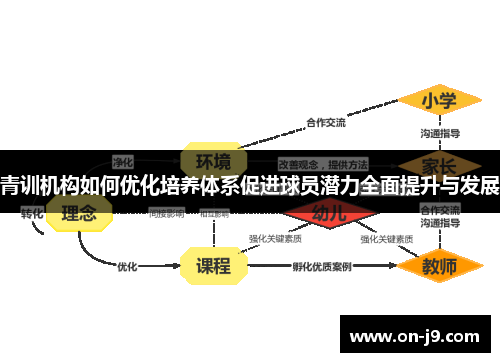 青训机构如何优化培养体系促进球员潜力全面提升与发展