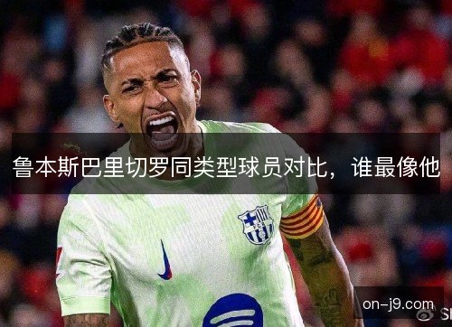 鲁本斯巴里切罗同类型球员对比，谁最像他